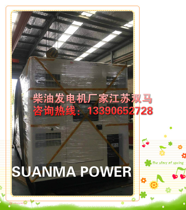 出口外貿(mào)柴油發(fā)電機(jī)廠家江蘇雙馬